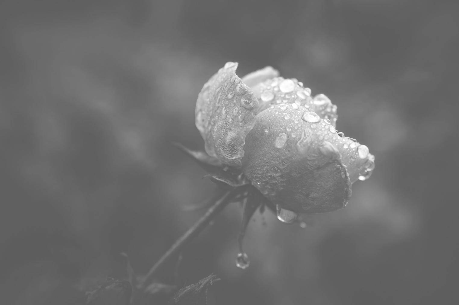 Students practicing design techniques with seasonal materials