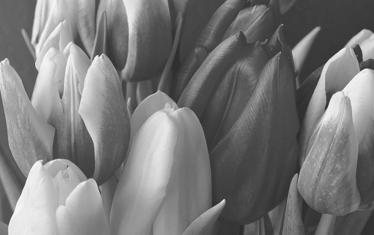 Hands working with fresh flowers during a workshop session