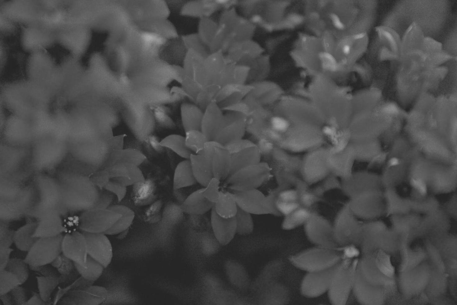 Instructor demonstrating advanced arrangement methods