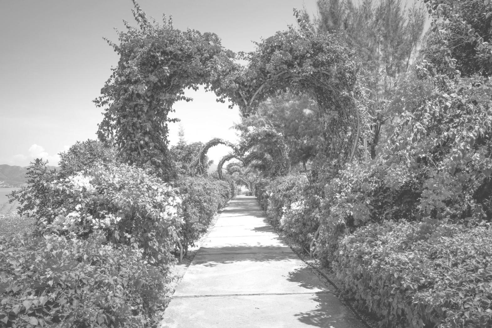 Floristry workspace with fresh flowers and arrangement tools