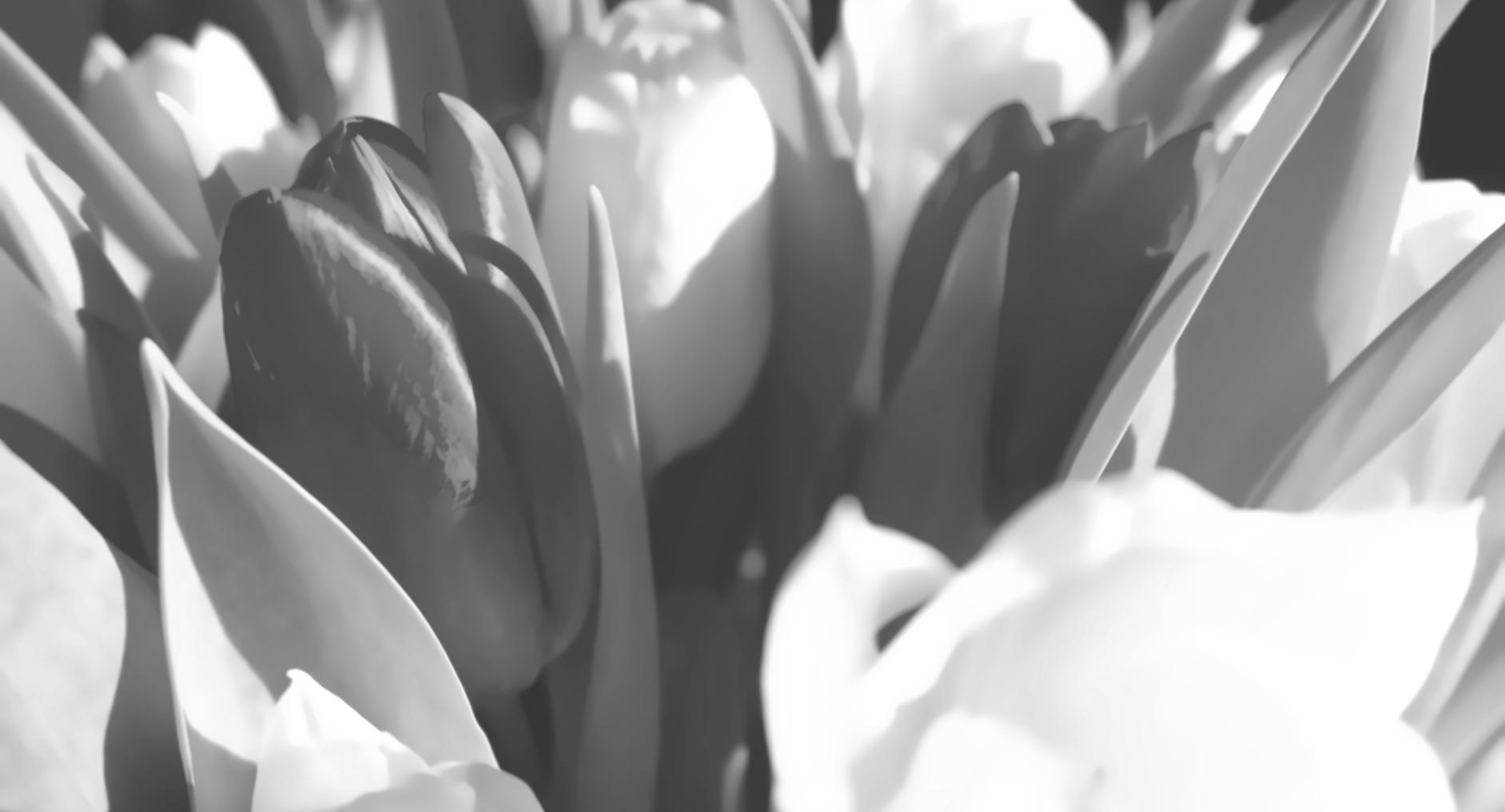 Workshop table covered with flowers and design tools