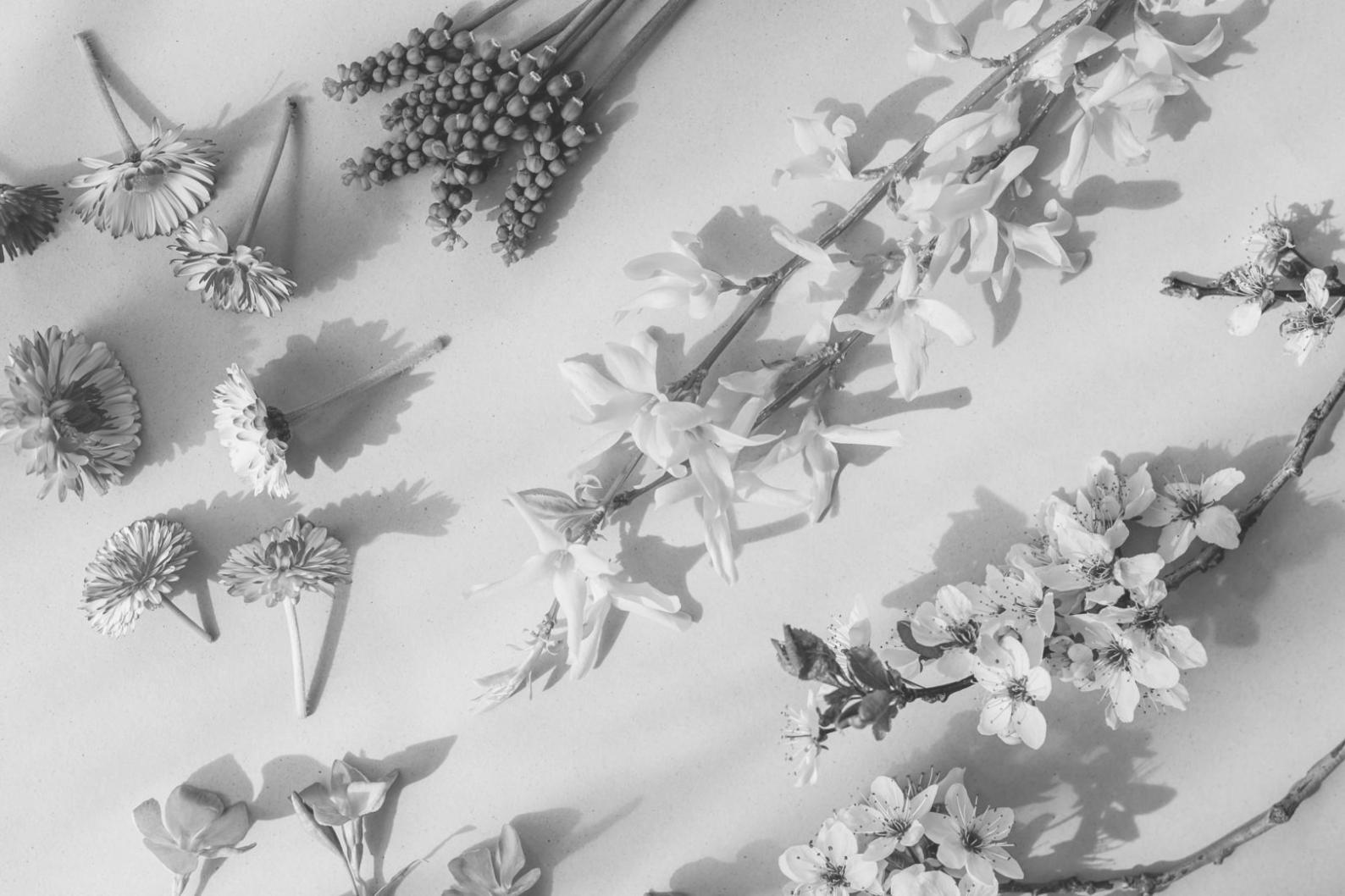 Floristry workspace with fresh flowers and design materials at Fyear Nyoux